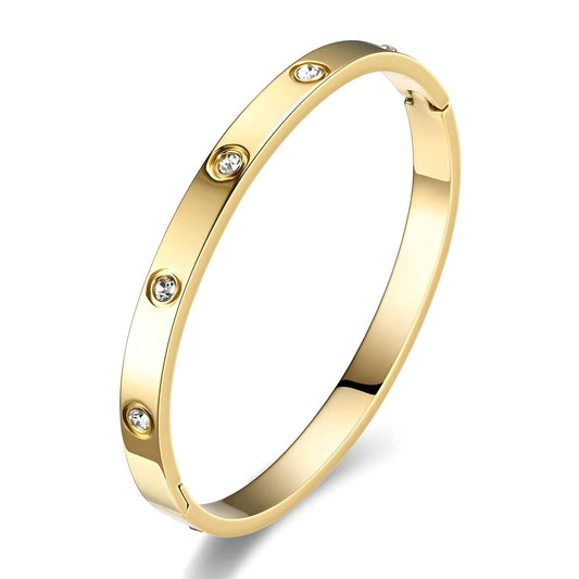 18K goud vergulde armband van RVS met zirkonia inleg