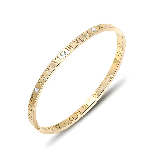 18K goud vergulde armband van RVS en zirkonia inleg